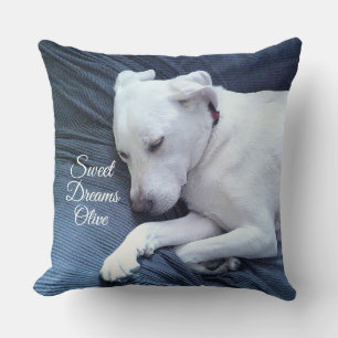 Coussin Sweams Dreams Cute White Labrador Retriever Mix Ch
