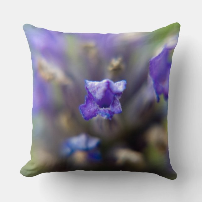 Coussin Sweet Lavender (Recto)