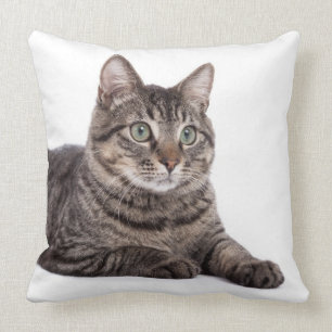 Coussin Tabby Gris