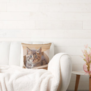 Coussin Tabby Kitten Dans Boîte En Carton