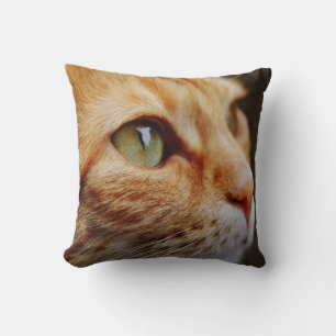 Coussin Tabby orange personnalisé aux yeux verts
