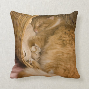 Coussin Table orange dormant dans le hamper