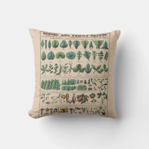Coussin Tableau antique de l'école botanique, nature vinta