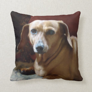 Coussin Teckel