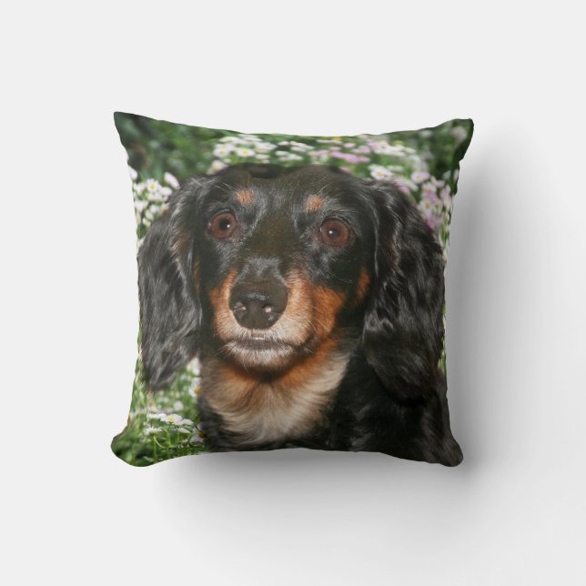 Coussin Teckel aux cheveux longs (Recto)