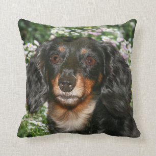 Coussin Teckel aux cheveux longs