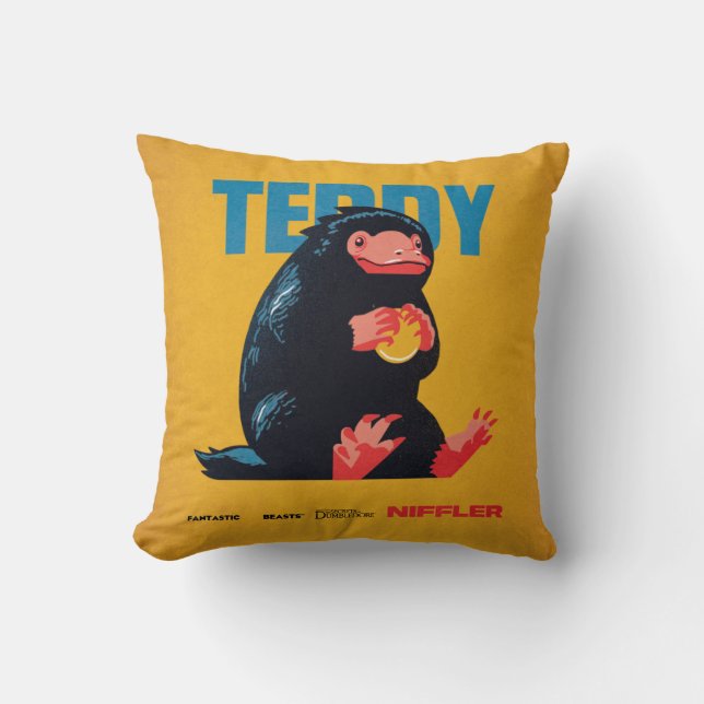 Coussin Teddy Vintage Graphic (Recto)