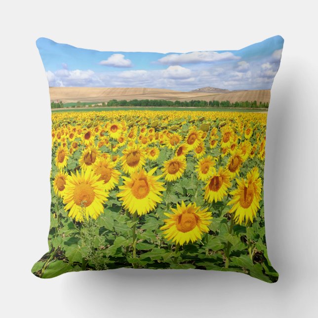Coussin Terrain de tournesol (Recto)