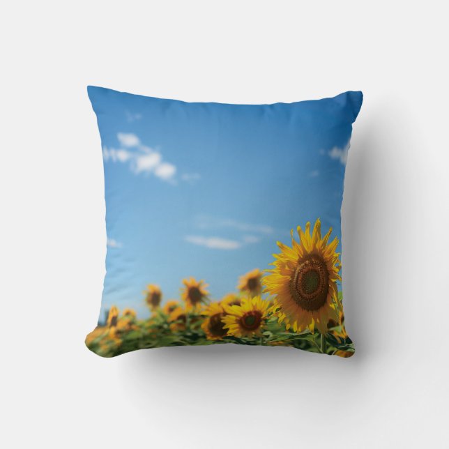 Coussin Terrain de tournesol (Recto)