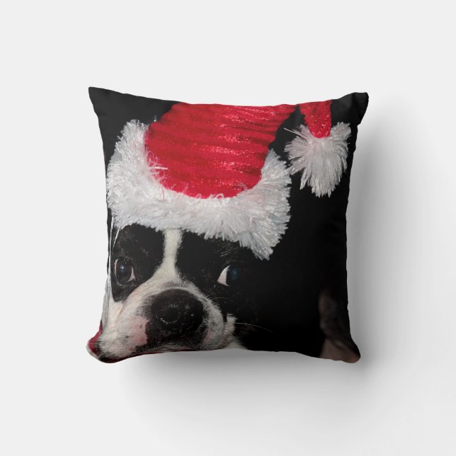 Coussin Terrier doux de Boston utilisant un casquette de (Recto)