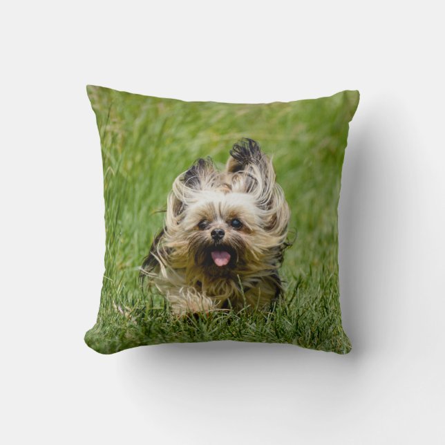 Coussin Terrier Yorkshire mignon Traversant L'Herbe (Recto)