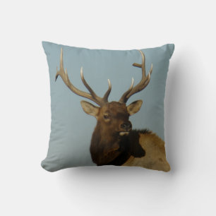 Coussin Tête et épaules d'élan mâle E49