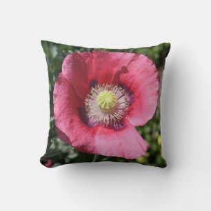 Coussin Texas Pink Skullcap