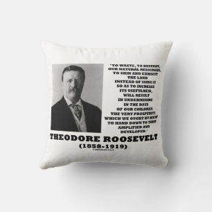 Coussin Théodore Roosevelt Détruire les déchets Ressources