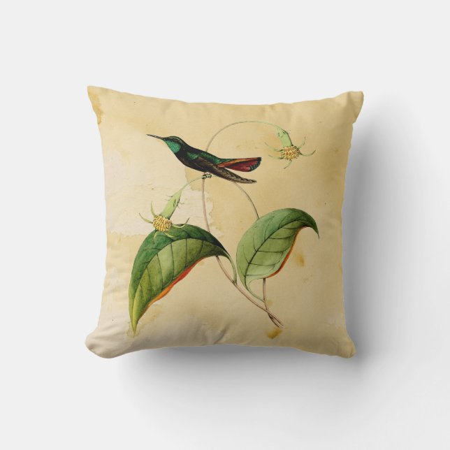 Coussin Throated vert d'aquarelle de colibri de (Recto)