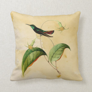 Coussin Throated vert d'aquarelle de colibri de