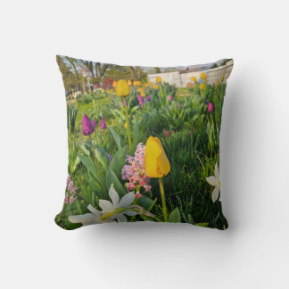 Coussin Throw Pillow