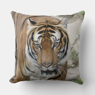 Coussin Tiger_001
