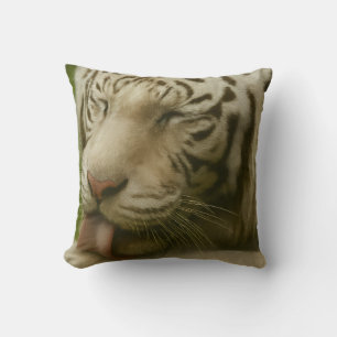 Coussin Tigre blanc dans le rituel de toilettage privé