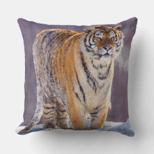 Coussin Tigre de Sibérie dans la neige, Chine