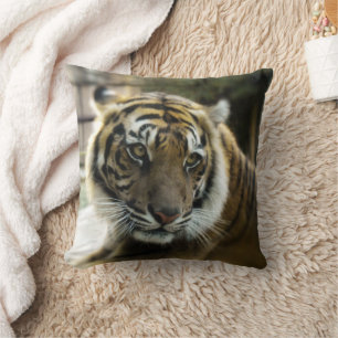 Coussin Tigre du Bengale