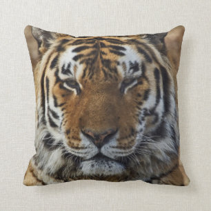 Coussin Tigre du Bengale, Tigre de Panthera, Zoo de Louisv