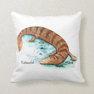 Coussin Tiktaalik