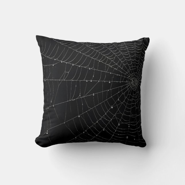 Coussin Toile Arachnéenne  (Recto)