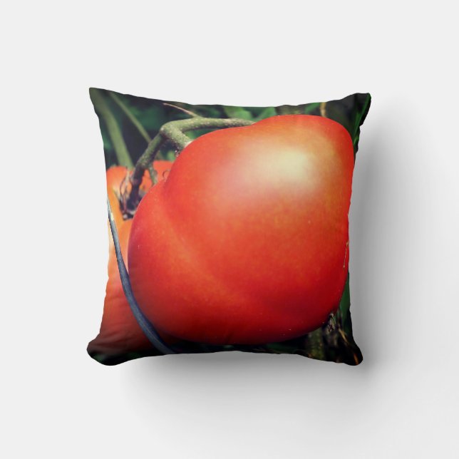 Coussin Tomates Rouge Ripe Garden Sur La Vigne (Recto)