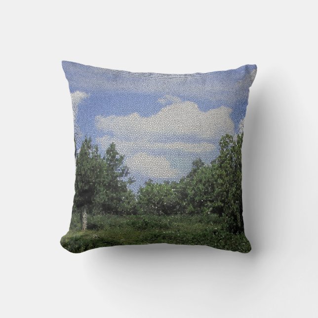 Coussin Tonto National Forest Photo Mosaic Paysage (Recto)