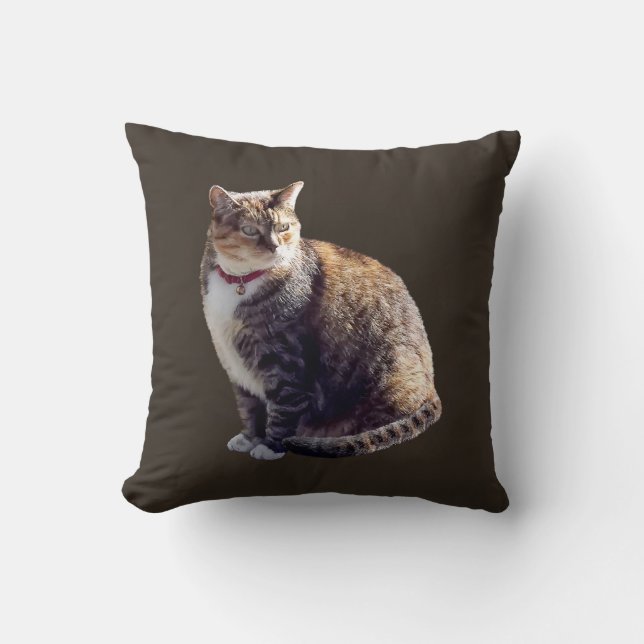 Coussin Tortoiseshell (Recto)