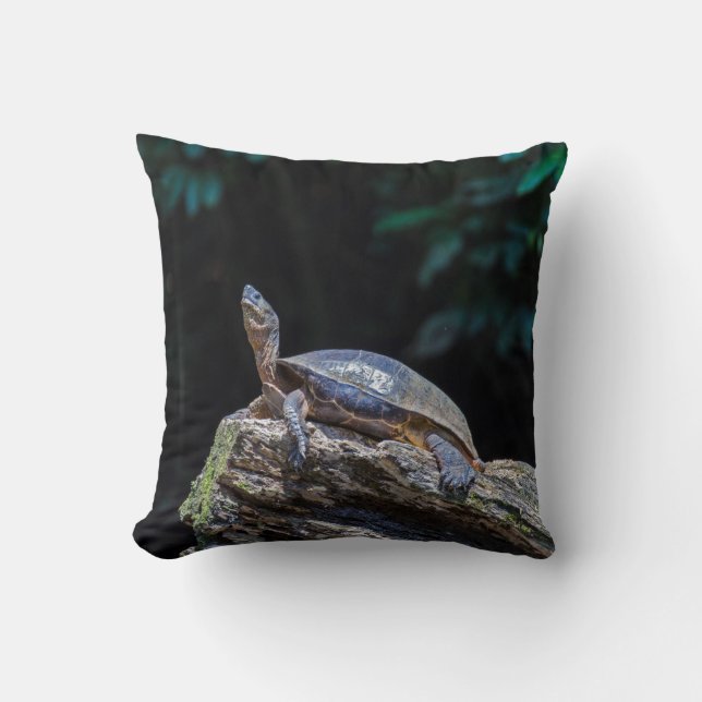 Coussin Tortues de rivière bronzer à Tortuguero - Costa Ri (Recto)