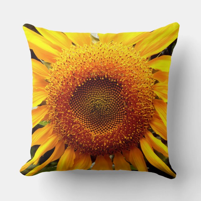 Coussin Tournée classique (Recto)