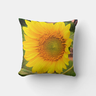 Coussin Tournesol