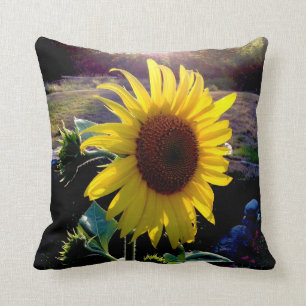 Coussin Tournesol au coucher du soleil ---