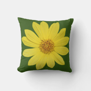Coussin Tournesol "Reine du citron" de Helianthus (isolé)