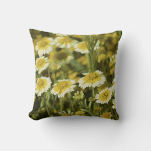 Coussin Tournesols jaunes et blancs fleur sauvage