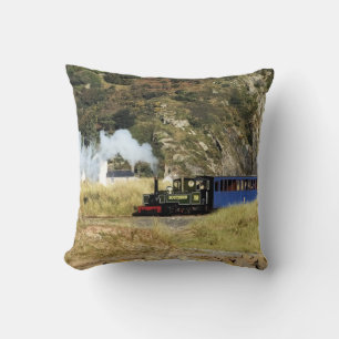 COUSSIN TRAINS À VAPEUR