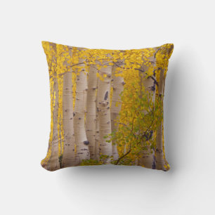 Coussin Trembles d'automne dans le col de Kebler au Colora