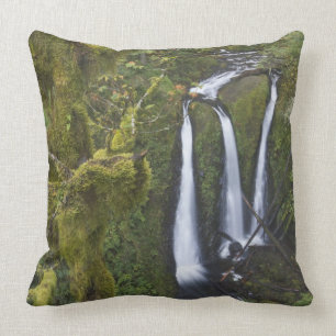 Coussin Triple Falls, Columbia River Gorge