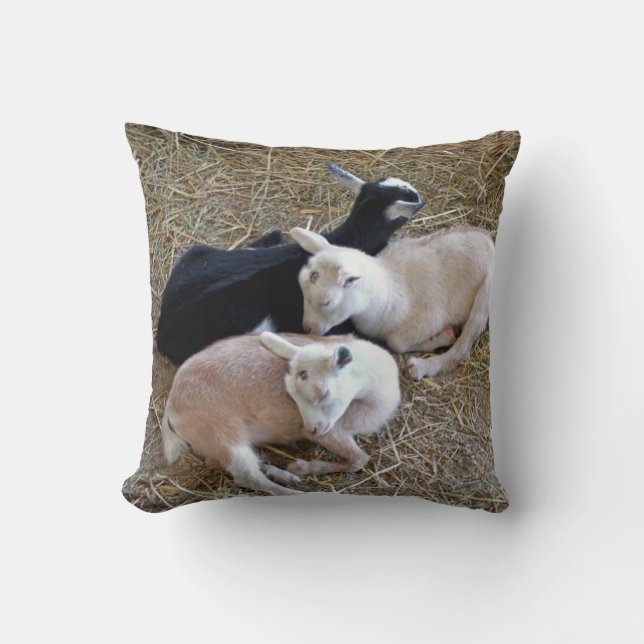 Coussin Trois chèvres (Recto)