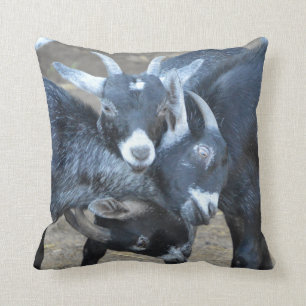 Coussin Trois chèvres drôles dans une serrure principale