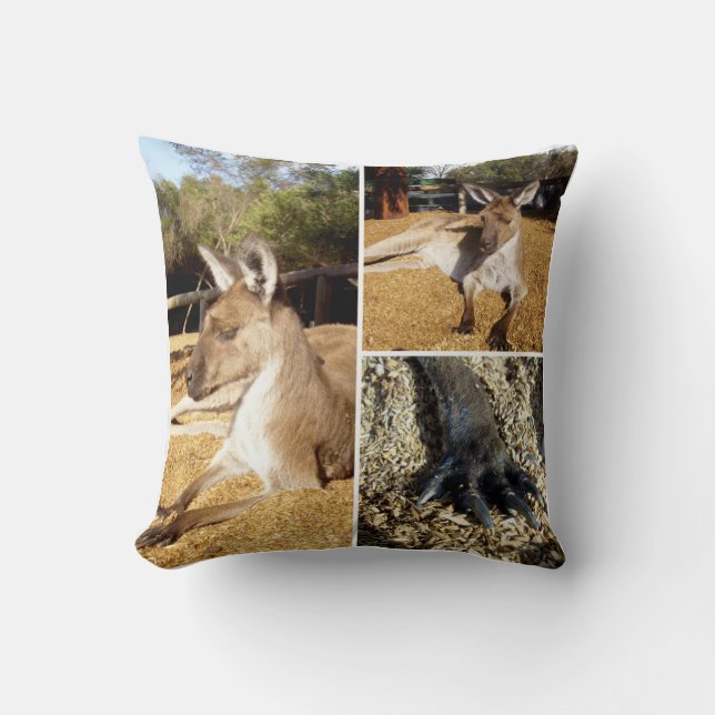 Coussin Trois images de Kangourou Collage, Cushion (Recto)