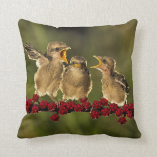 Coussin Trois oiseaux de Schach de Lanius de bébé