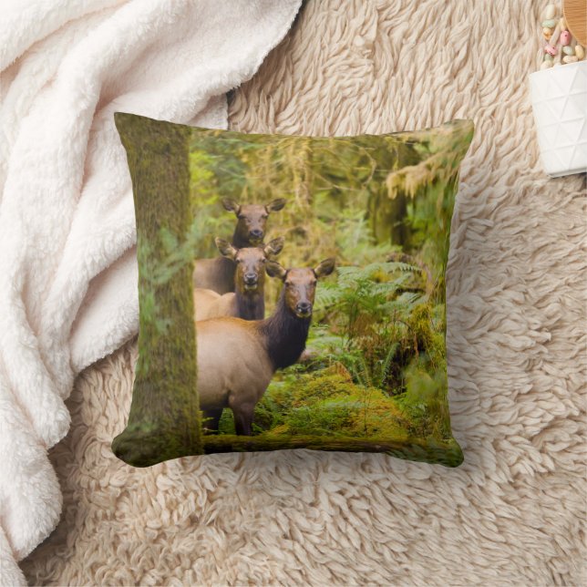 Coussin Trois Vaches De Elk Roosevelt Regardant Vue (Couverture)