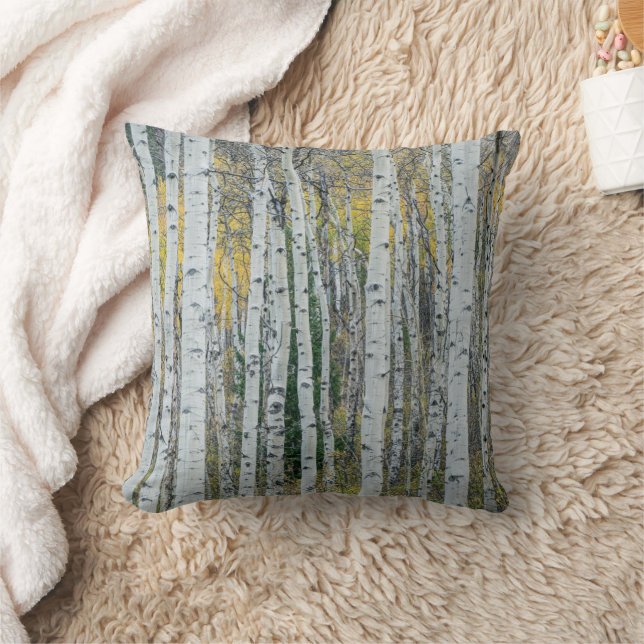 Coussin Troncs d'arbres Trembles | Aspen, Colorado (Couverture)