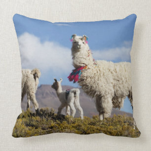 Coussin Troupeau de lama décoré dans les montagnes du Puna