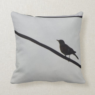 Coussin Tweeter