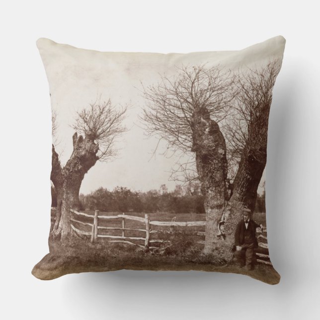 Coussin Un arbre de bordure de haies, 1852 (copie (Recto)