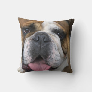 Coussin Un bouledogue anglais en Belgique